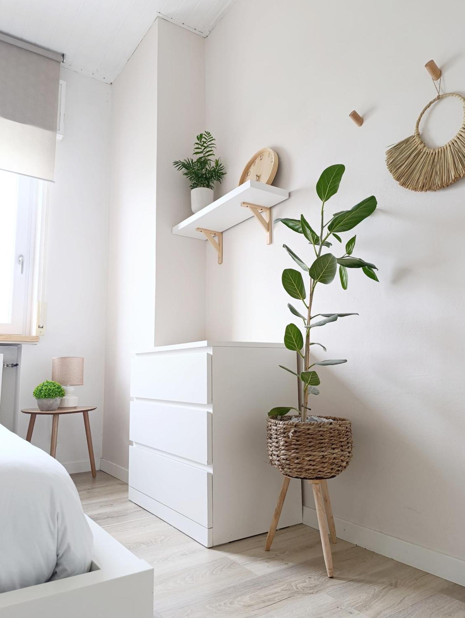 Kasakiwi Apartment Vicence Extérieur photo